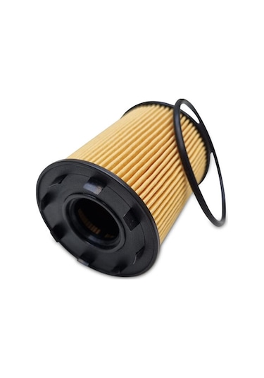 Goodyear Audı A6 Yakıt Filtresi 2004-2011 Oem Kodu:818031