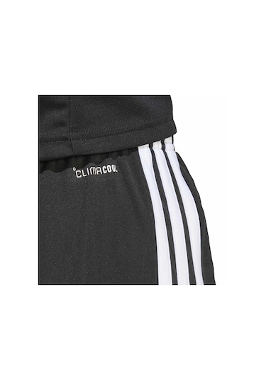 Adidas Black/whıte Tıro26l Tr Sho Siyah