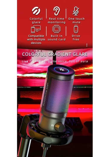 U850 Kayıt Condenser Pop Filtre Kardioid Mikrofon + Tripod