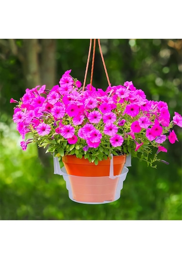 15 Adet Askılı Bitki Su Tutucu-8 İnç Şeffaf Plastik Bitki