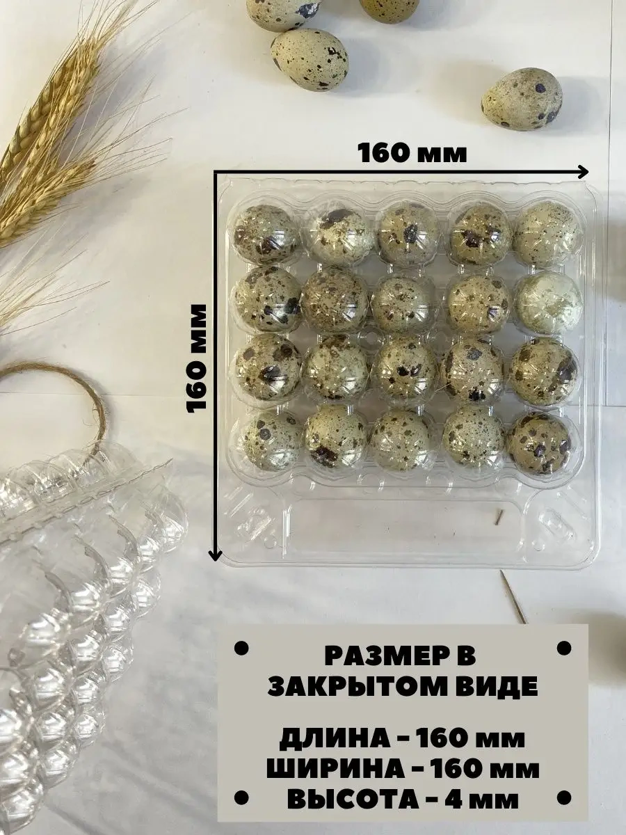 Tpt Paketleme, Bıldırcın Yumurtası İçin 20 Gözlü Tepsi - 50 Adet 120856033 Beyaz