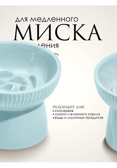 Vektorı Kedi Kabı Seramik 391812075