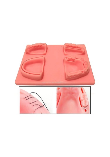 Suofeng Diş Hekimliği Dikiş Eğitim Seti - 4 Adet Yapay Diş Eti Modeli İle Pratik Yapma İmkanı