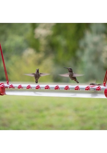 Pazly Delik Askılı Sinek Kuşu Besleyici - Kırmızı Şeffaf Tüp Pencere Bahçe Dolap Çubuk Braketleri