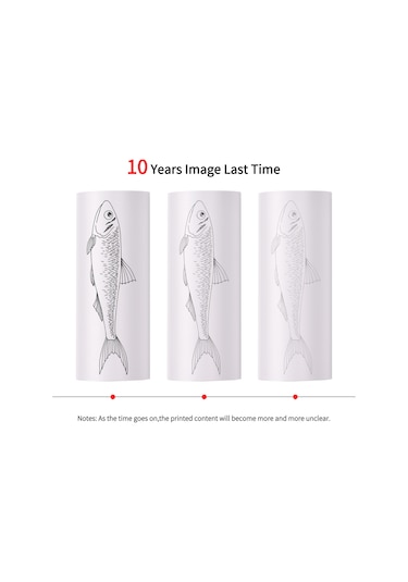 Mufunye 76x30mm 10 Yıllık Üçlü Koruma Termal Etiket Kağıdı - Yağ, Su Ve Sürtünmeye Dayanıklı, 10 Rulo Paket