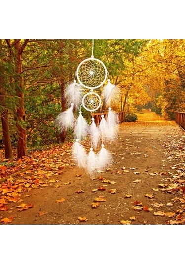 Lijinxu Dreamy White Dream Catcher Tüy Duvar Asılı Dekorasyon 2