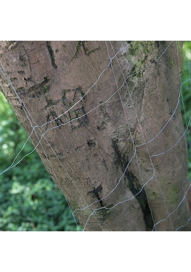 Novahub Balıkçılar İçin 3 Katmanlı Naylon Ağ, Çeşitli Boyutlarda 30mm, 40mm, 50mm, 60mm, Uç Kapaklı Seçenekleriyle