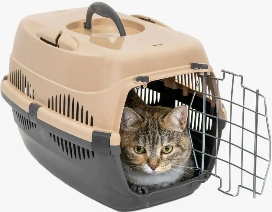 Pettails Plastik Kedi Taşıma Kafesi, Hayvanlar İçin Metal Kapılı 27566029