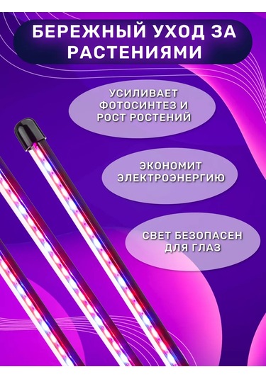 Miland Bitkiler Ve Fideler İçin Fitoluk 205302402 Violet