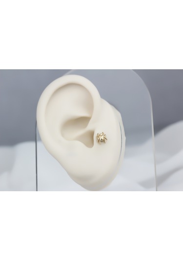 Glorria Altın Örümcek Tragus Piercing Altın