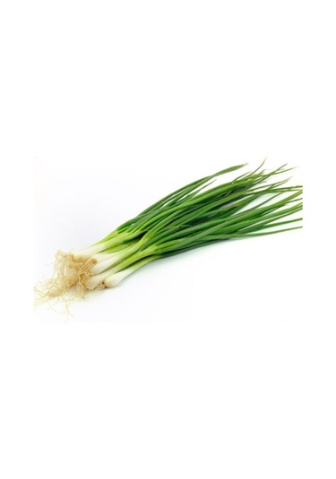 Tohumculuk Taze Firik Yeşil Soğan Tohumu 50 Adet Tohum