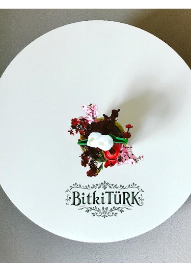 Bitkitürk-beton Saksıda Yapay Çiçek Ofis Salon Hediye