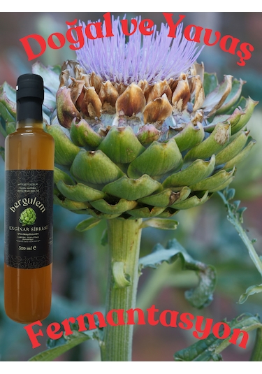Bergulem Doğal Enginar Sirkesi 500 ML