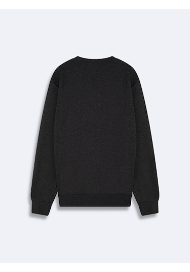 Ltb Antrasit Sweatshırt 011268654360387 218 Antrasit