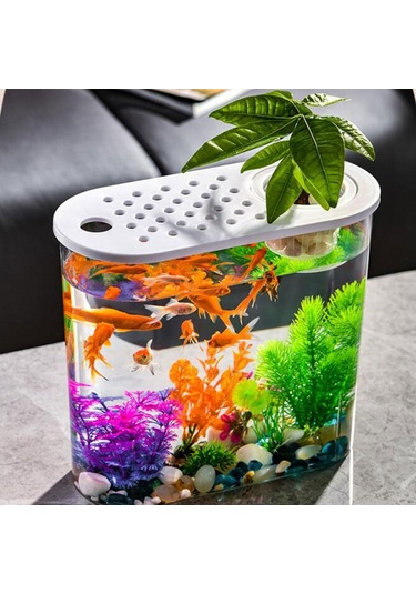 Suntek Mini Balık Tankı Temizle Taşınabilir Masa Hidroponik