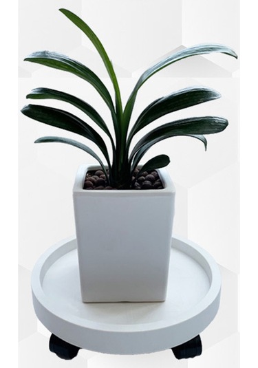 Tenfowee Plastik Dairesel Süs Bitki Tepsisi, 30mm Cam Gövde Tekerlekli, Su Toplama Kutusuyla, Balkon İçin Taşınabilir Taban