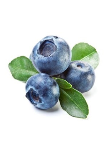 Bahçev2 Yaşında Tüplü Yaban Mersini Fidanı