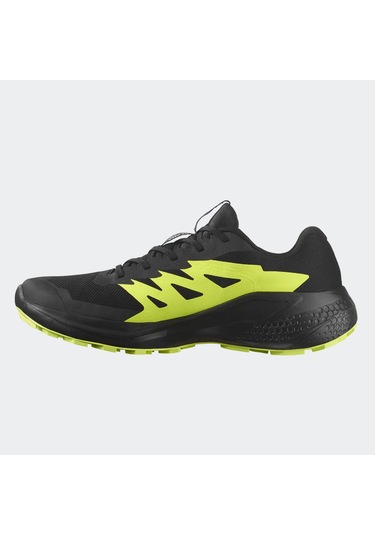 Salomon L47802000 Alphaglide Gore-tex Erkek Koşu Ayakkabısı Renkli
