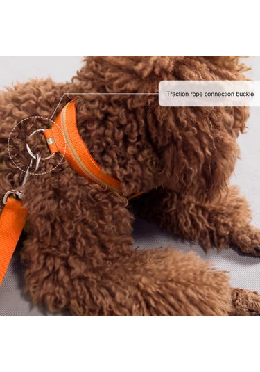 Geeroyoo Gece Görünürlüğü Artıran Suya Dayanıklı Led Nylon Köpek Tasması - Sarı, S Boy Sarı