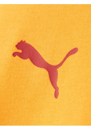 Gsstore Galatasaray Puma Çocuk T-shirt 78291306 Sarı