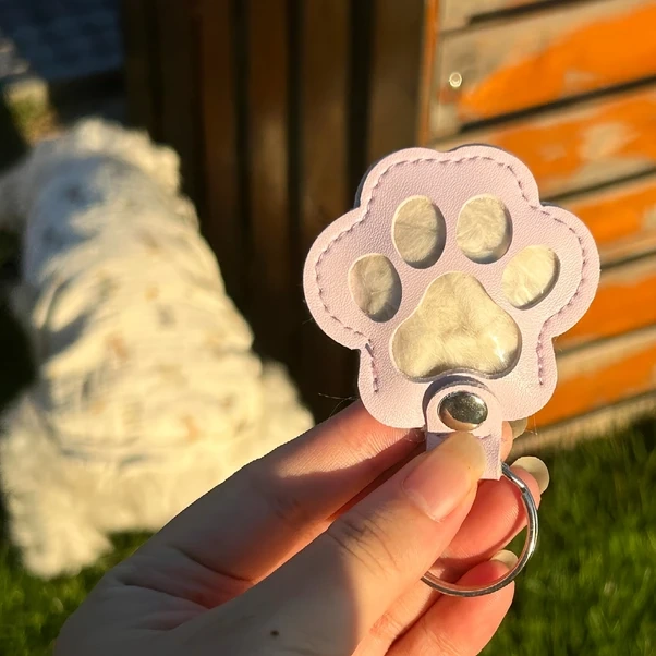 Gateesat Kahverengi Tüy Toplayıcı Anahtarlık - Pati Desenli, Anahtar Ve Telefon Uyumlu, Evcil Hayvan Anısı Hediyesi