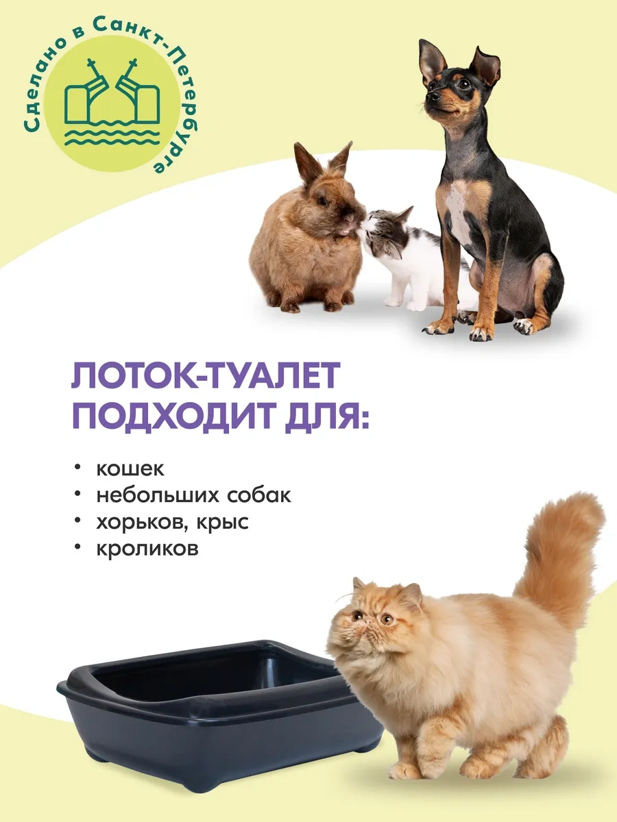 Pettails Yüksek Kenarlı Büyük Kedi Kabı 43x30x12 Cm 370935589