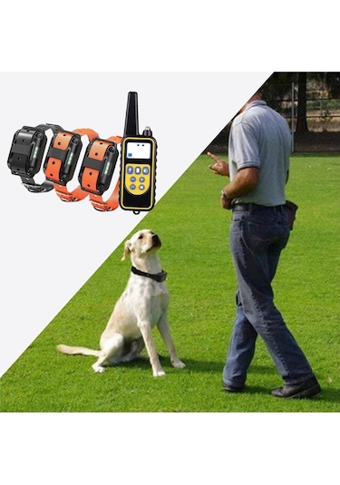 Sellwell Kesoto Köpek Eğitim Şok Yaka 875 Yards Lcd Uzaktan Kumanda