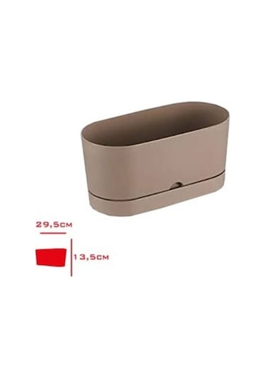 Polıwork Saksı Balkon Begonya 30 Cm Krem