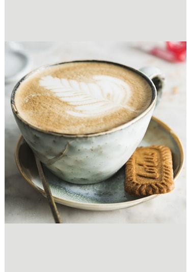 Lotus Biscoff 125 G x 6