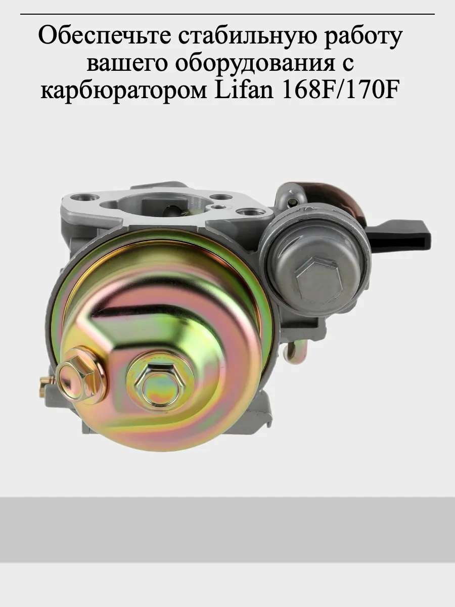 Gamingo Motobloklar, Motorlu Pompalar İçin Karbüratör, 168f 74520111