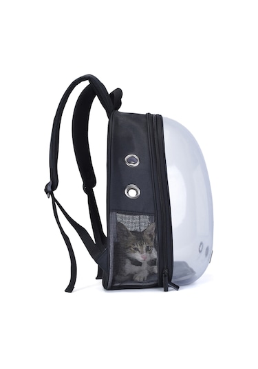 Springsun Yetişkinler, Gençler, Kampüs Sırt Çantaları, Yürüyüş, Tuval Okul Çantası İçin Aydınlık Sırt Çantaları Benzersiz Tasarım