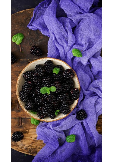 Bahçevilya 2 Yaşında Tüplü Jumbo Böğürtlen Fidanı