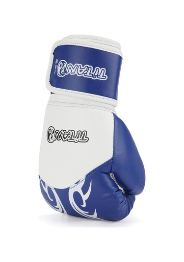 Titan Sport Mavi Beyaz İşlemeli Boks Eldiveni Çok Renkli