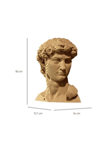 Cartonic 3d Puzzle - Davıd