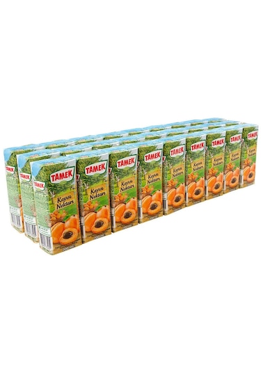 Tamek Kayısı Nektarı 200 Ml X 27 Adet
