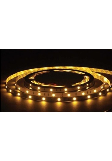 Tek Çipli İç Mekan Günışığı 3528 Silikonsuz 12v Şerit Led 5mt