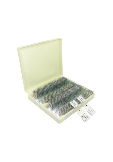 Ece Mikroskop Slayt Preparat Seti Biyoloji 100'lü