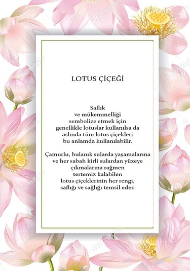 2024 Yılına Özel Ekim Seti