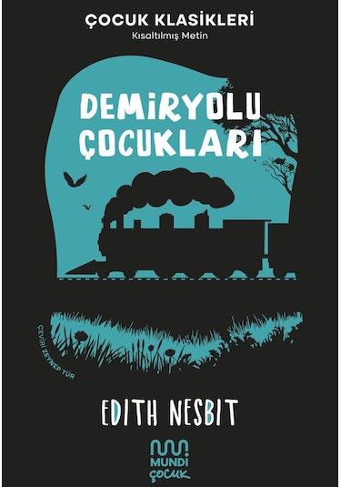 Demiryolu Çocukları 9786256324879