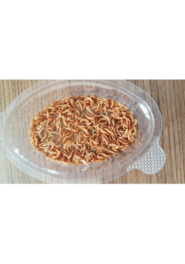 Un Kurdu Mikro 1-1.5 Cm Boy 100 Adet