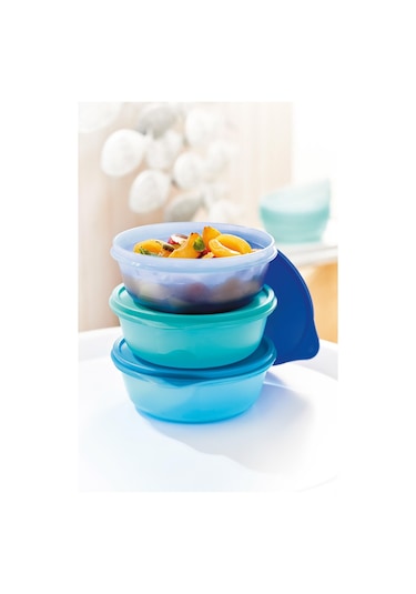 Tupperware Saklama ve Servis Küçük Kap 3'lü Set 600 ml