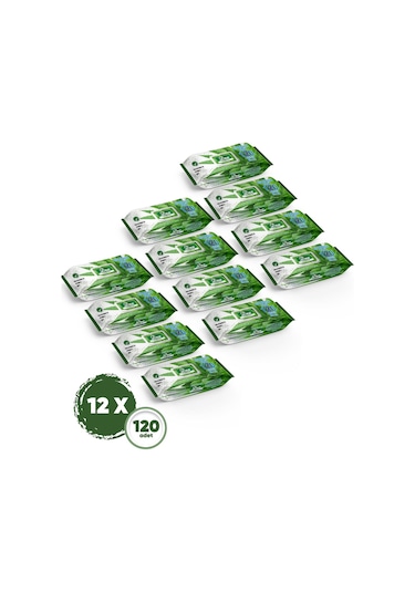 Dex Aloe Vera Islak Havlu 12 Adet 120'li