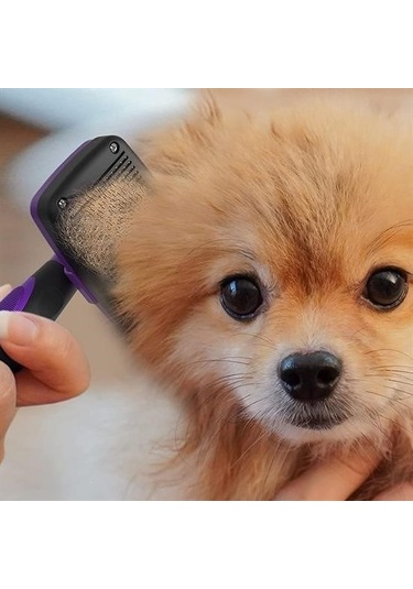 Buffer Otomatik Temizlenebilen Tuşlu Pratik Kedi Köpek Tüy Toplama Fırçası Çok Renkli