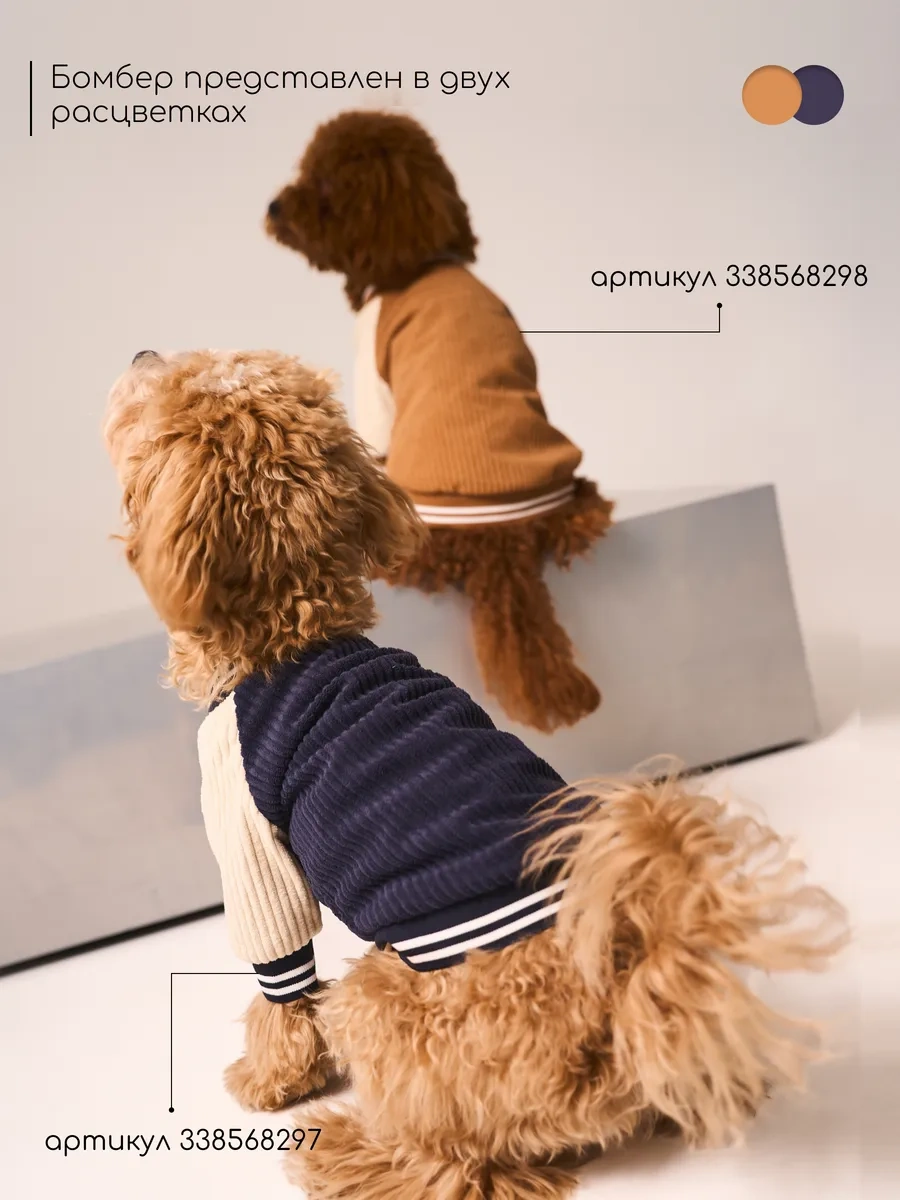 Petite Pets Küçük Irk Köpekler İçin Bomber Ceket 338568298