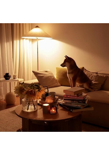 Beyaz Satış Led G9 Lamba Ampul Ac 220 V 3 W 5 W 7 W 2835 Smd Çip Seramik Led Ampul Avize Enerji Tasarrufu İçin Halojen G9 Değiştirin 3w