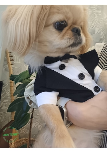 Gobo Papyonlu Smokin Damatlık Kedi Köpek Giyim Takım Elbise