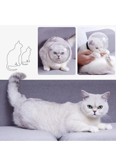 Lavimo Kedi Bakım Küresi