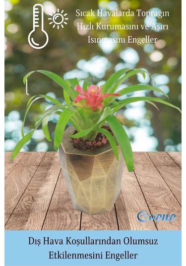 Saksı Çiçek Kaktüs Saksısı Lüx 15 Cm Poly Desen Saksı Çiçeklik - Altın Eskitme