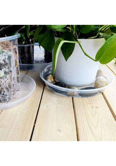 Şeffaf Bitki Tabağı 10 İnç Plastik Bitki Tabağı Daha Kalın Bitki Tepsisi