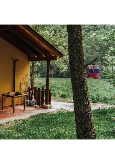 Fly Jail - L KARASİNEK TUZAĞI